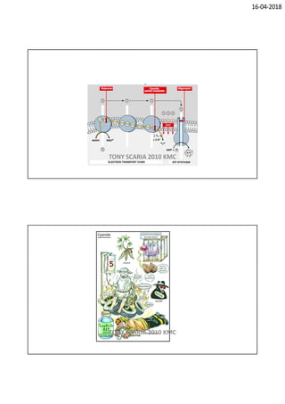 16-04-2018
TONY SCARIA 2010 KMC
TONY SCARIA 2010 KMC
 
