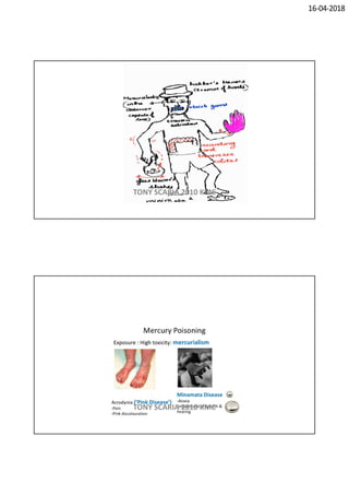16-04-2018
TONY SCARIA 2010 KMC
TONY SCARIA 2010 KMC
 