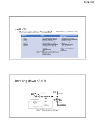 16-04-2018
• MOA of OP
• Cholinesterase inhibition  increased Ach
Muscarinic Nicotinic Accumulation of acetylcholine in central
nervous system
• Miosis
• Diarrhea
• Urnation
• Bronchospams
• Emesis
• Diarrhoea
• Salivation
• Easy fatigability and mild weakness
followed by involuntary twitching,
fasciculation and cramps
• Muscles of respiration are affected
leading to Dyspnea and cyanosis.
• Nicotinic action at autonomic ganglia
masks the muscarinic effects 
Tachycardia is produced instead of
bradycardia
• Cardiac arrhythmias
• Pallor
• Blood pressure is raised
• Hyperglycemia
• Pulmonary oedema
• Anxiety, tension and confusion
• Restlessness, insomnia and headache
• Irritability and neurosis
• Excessive dreaming
and nightmares
• Slurred speech and tremors
• Ataxia and convulsion
• Depression of
respiratory and circulatory centers
• Coma
leading to death.
TONY SCARIA 2010 KMC
Breaking down of ACh
TONY SCARIA 2010 KMC
 