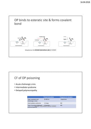 16-04-2018
OP binds to esteratic site & forms covalent
bond
Edrophonium & tacrine binds to anionic siteTONY SCARIA 2010 KMC
CF of OP poisoning
• Acute cholinergic crisis
• Intermediate syndrome
• Delayed polyneuropathy
Onset & duration Response to atropine
Type I paralysis (a/c
cholinergic crisis)
24-48 hrs responsive
Intermediate syndrome 1-4 days NO
Type III paralysis (delayed
polyneuropathy)
1-4 weeks NO
TONY SCARIA 2010 KMC
 
