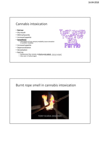 16-04-2018
Cannabis intoxication
• Red eye
• Dry mouth
• Mild tachycardia
• Increased appetite
• Synesthesia
• Stimulation of one sensory modality cause sensation
in another modality
• Increased appetite
• Depersonalization
• Derealization
• Bad trip
• Restlessness fear anxiety similar to panic attack
• Also seen in hallucinogen
TONY SCARIA 2010 KMC
Burnt rope smell in cannabis intoxication
TONY SCARIA 2010 KMC
 