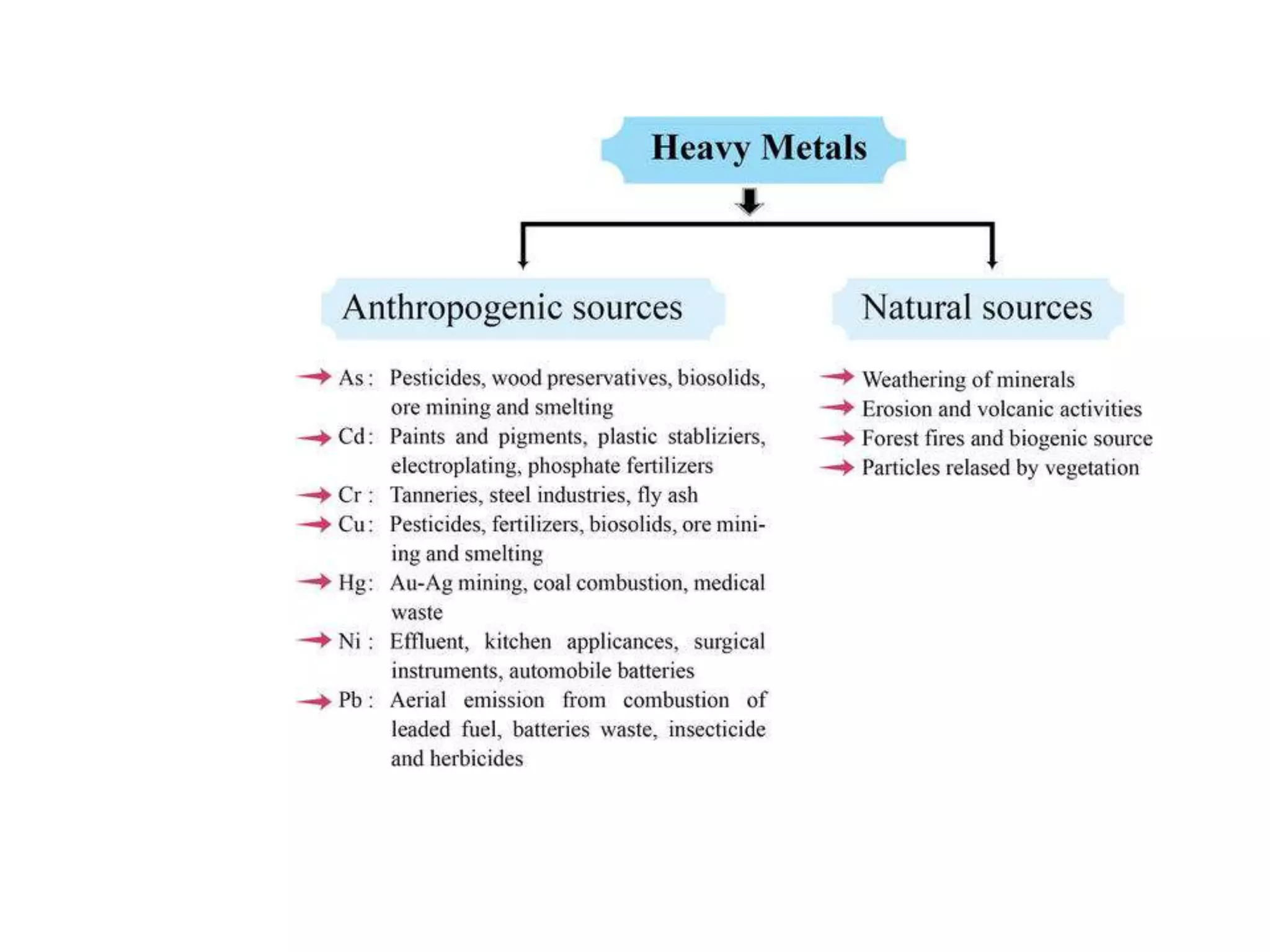 Environmental and Chemical Toxicology | PPTX