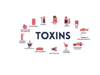 Environmental and Chemical Toxicology | PPTX