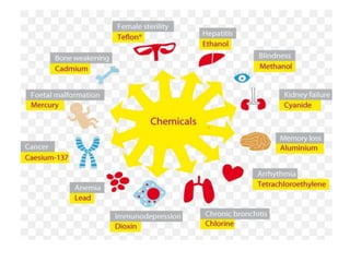 Environmental and Chemical Toxicology | PPTX
