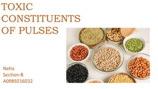 TOXIC
CONSTITUENTS
OF PULSES
Neha
Section-B
A0989216032
 