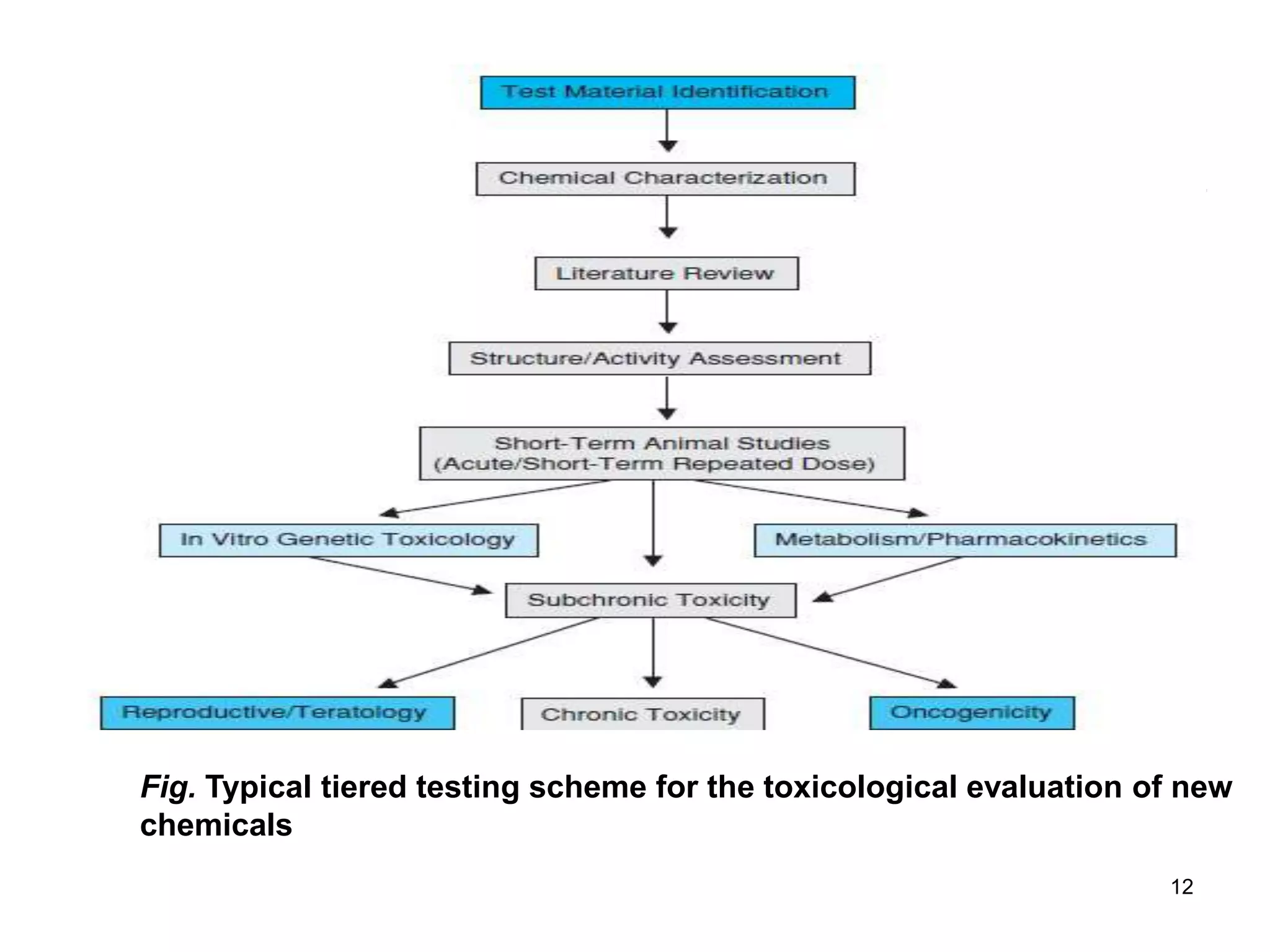 12
Fig. Typical tiered testing scheme for the toxicological evaluation of new
chemicals
 