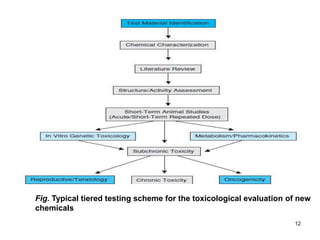 12
Fig. Typical tiered testing scheme for the toxicological evaluation of new
chemicals
 