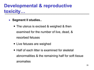 Developmental & reproductive
toxicity…
 Segment II studies..
 The uterus is excised & weighed & then
examined for the number of live, dead, &
resorbed fetuses
 Live fetuses are weighed
 Half of each litter is examined for skeletal
abnormalities & the remaining half for soft tissue
anomalies
28
 