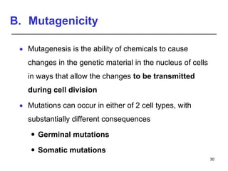 B. Mutagenicity
 Mutagenesis is the ability of chemicals to cause
changes in the genetic material in the nucleus of cells
in ways that allow the changes to be transmitted
during cell division
 Mutations can occur in either of 2 cell types, with
substantially different consequences
 Germinal mutations
 Somatic mutations
30
 