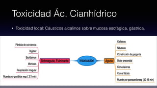 gases-asfixiantes-pdf