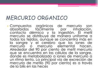 MERCURIO ORGANICO 
• Compuestos orgánicos de mercurio son 
absorbidos fácilmente por inhalación, 
contacto dérmico y la in...