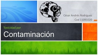 César Andrés Rodríguez
Cod 11091020
Toxicidad por
Contaminación
 