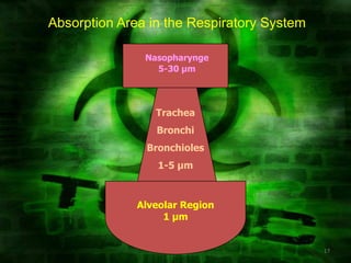 Absorption Area in the Respiratory System

               Nasopharynge
                 5-30 µm




                 Trachea
                 Bronchi
               Bronchioles
                  1-5 µm



              Alveolar Region
                   1 µm


                                            17
 