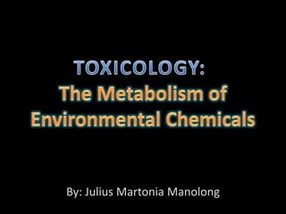 By: Julius Martonia Manolong
 