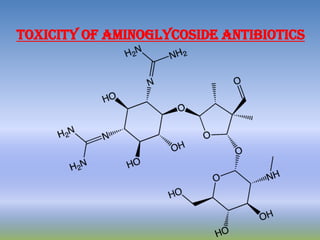 TOXICITY OF AMINOGLYCOSIDE ANTIBIOTICS
 