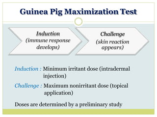 Guinea Pig Maximization Test
Challenge
(skin reaction
appears)
Induction : Minimum irritant dose (intradermal
injection)
Challenge : Maximum nonirritant dose (topical
application)
Doses are determined by a preliminary study
Induction
(immune response
develops)
 