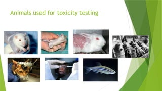 Toxicity studies.pptx and its guidelines | PPTX
