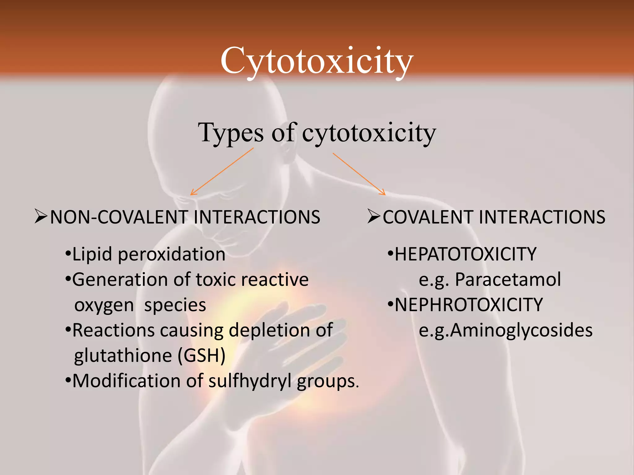 Toxicity studies of drug | PPTX