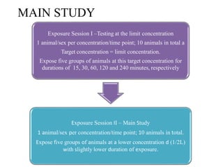 MAIN STUDY
Exposure Session I –Testing at the limit concentration
1 animal/sex per concentration/time point; 10 animals in total a
Target concentration = limit concentration.
Expose five groups of animals at this target concentration for
durations of 15, 30, 60, 120 and 240 minutes, respectively
Exposure Session II – Main Study
1 animal/sex per concentration/time point; 10 animals in total.
Expose five groups of animals at a lower concentration d (1/2L)
with slightly lower duration of exposure.
 