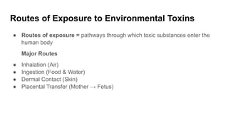 Comprehensive Overview of Environmental Toxins and Heavy Metal Exposure ...