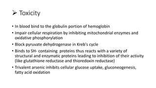  Toxicity
• In blood bind to the globulin portion of hemoglobin
• Impair cellular respiration by inhibiting mitochondrial enzymes and
oxidative phosphorylation
• Block pyruvate dehydrogenase in Kreb's cycle
• Binds to SH- containing proteins thus reacts with a variety of
structural and enzymatic proteins leading to inhibition of their activity
(like glutathione reductase and thioredoxin reductase)
• Trivalent arsenic inhibits cellular glucose uptake, gluconeogenesis,
fatty acid oxidation
 