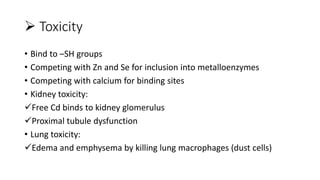  Toxicity
• Bind to –SH groups
• Competing with Zn and Se for inclusion into metalloenzymes
• Competing with calcium for binding sites
• Kidney toxicity:
Free Cd binds to kidney glomerulus
Proximal tubule dysfunction
• Lung toxicity:
Edema and emphysema by killing lung macrophages (dust cells)
 