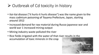  Outbreak of Cd toxicity in history
• Itai-itai disease ("it hurts-it hurts disease") was the name given to the
mass cadmium poisoning of Toyama Prefecture, Japan, starting
around 1912
• Increased demand for raw material during Russo-japanese war and
world war 1 increased mining output
• Mining industry waste polluted the river
• Rice fields irrigated with the water of that river results in the
accumulation of toxic minerals in the crop
 