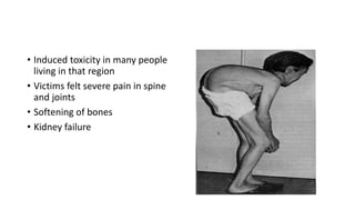 • Induced toxicity in many people
living in that region
• Victims felt severe pain in spine
and joints
• Softening of bones
• Kidney failure
 
