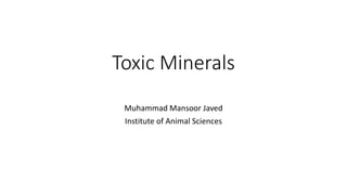 Toxic Minerals
Muhammad Mansoor Javed
Institute of Animal Sciences
 