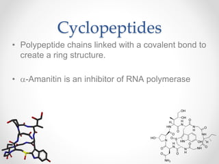 Cyclopeptides
• Polypeptide chains linked with a covalent bond to
create a ring structure.
• a-Amanitin is an inhibitor of RNA polymerase
 