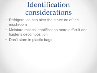 Identification
considerations
• Refrigeration can alter the structure of the
mushroom
• Moisture makes identification more difficult and
hastens decomposition
• Don’t store in plastic bags
 