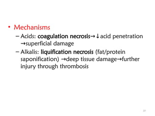 37
• Mechanisms
– Acids: coagulation necrosis acid penetration
→↓
superficial damage
→
– Alkalis: liquification necrosis (fat/protein
saponification) deep tissue damage further
→ →
injury through thrombosis
 
