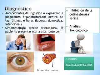 • Antecedentes de ingestión o exposición a
plaguicidas organofosforados dentro de
las últimas 6 horas (laboral, doméstica,
intencional)
• Sintomatología precoz orientadora. El
paciente presentar olor a ajos junto con:
-TEMBLOR
-FASCICULACIONES MUSC
• Inhibición de la
colinesterasa
sérica
• Análisis
Toxicológico
 