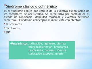 *Síndrome clásico o colinérgico
Es el síndrome clínico que resulta de la excesiva estimulación de
los receptores de acetilcolina. Se caracteriza por cambios en el
estado de conciencia, debilidad muscular y excesiva actividad
secretora. El síndrome colinérgico se manifiesta con efectos:
• Muscarínicos
• Nicotínicos
• SNC
-Muscarínicos: salivación, lagrimeo, diarrea
broncoconstricción, broncorrea
bradicardia, naúseas, vómitos
sudoración excesiva, miosis
 