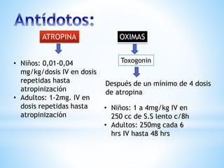 ATROPINA OXIMAS
• Niños: 0,01-0,04
mg/kg/dosis IV en dosis
repetidas hasta
atropinización
• Adultos: 1-2mg. IV en
dosis repetidas hasta
atropinización
Toxogonin
Después de un mínimo de 4 dosis
de atropina
• Niños: 1 a 4mg/kg IV en
250 cc de S.S lento c/8h
• Adultos: 250mg cada 6
hrs IV hasta 48 hrs
 