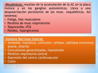 -Nicotínicos: resultan de la acumulación de la AC en la placa
motora y en los ganglios autonómicos. Lleva a una
despolarización persistente de los musc. esqueléticos. Así
tenemos:
• Fatiga, fasc musculares
• Parálisis de musc respiratorios
• Taquicardia, HTA
• Palidez, hiperglicemia
-Sistema Nervioso Central:
• Ansiedad, inquietud, confusión, cefalea, labilidad emocional,
ataxia, disartia
• Convulsiones generalizadas, hipotensión
• Parálisis respiratoria central
• Depresión del centro cardiovascular
• Coma
 
