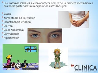 *
*Los síntomas iniciales suelen aparecer dentro de la primera media hora a
dos horas posteriores a la exposición estos incluyen:
*Miosis
*Aumento De La Salivación
*Incontinencia Urinaria
*Diarrea
*Dolor Abdominal
*Convulsiones
*Hipertensión
 