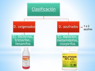 Clasificación
D. oxigenados D. azufrados
Ej. Diclorvos,
triclorfón,
fenamifos
Ej. Malation,
metamidofos,
clorpirifos
1 o 2
azufres
 