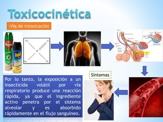 -Vía de intoxicación
Por lo tanto, la exposición a un
insecticida volátil por vía
respiratorio produce una reacción
rápida, ya que el ingrediente
activo penetra por el sistema
alveolar y es absorbido
rápidamente en el flujo sanguíneo.
Síntomas
 