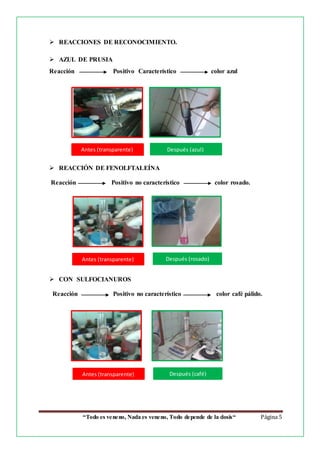 “Todo es veneno, Nada es veneno, Todo depende de la dosis“ Página 5
 REACCIONES DE RECONOCIMIENTO.
 AZUL DE PRUSIA
Reacción Positivo Característico color azul
 REACCIÓN DE FENOLFTALEÍNA
Reacción Positivo no característico color rosado.
 CON SULFOCIANUROS
Reacción Positivo no característico color café pálido.
Antes (transparente) Después (azul)
coloración)
Antes (transparente) Después (rosado)
Antes (transparente) Después (café)
 