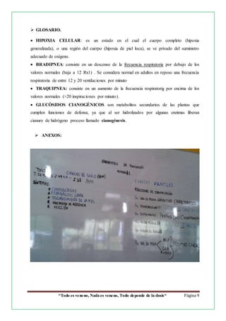 “Todo es veneno, Nada es veneno, Todo depende de la dosis“ Página 9
 GLOSARIO.
 HIPOXIA CELULAR: es un estado en el cual el cuerpo completo (hipoxia
generalizada), o una región del cuerpo (hipoxia de piel loca), se ve privado del suministro
adecuado de oxígeno.
 BRADIPNEA: consiste en un descenso de la frecuencia respiratoria por debajo de los
valores normales (baja a 12 Rx1) . Se considera normal en adultos en reposo una frecuencia
respiratoria de entre 12 y 20 ventilaciones por minuto
 TRAQUIPNEA: consiste en un aumento de la frecuencia respiratoria por encima de los
valores normales (>20 inspiraciones por minuto).
 GLUCÓSIDOS CIANOGÉNICOS son metabolitos secundarios de las plantas que
cumplen funciones de defensa, ya que al ser hidrolizados por algunas enzimas liberan
cianuro de hidrógeno proceso llamado cianogénesis.
 ANEXOS:
 