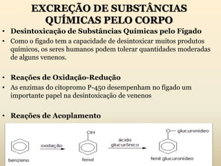 EXCREÇÃO DE SUBSTÂNCIAS
QUÍMICAS PELO CORPO
• Desintoxicação de Substâncias Químicas pelo Fígado
• Como o fígado tem a capacidade de desintoxicar muitos produtos
químicos, os seres humanos podem tolerar quantidades moderadas
de alguns venenos.
• Reações de Oxidação-Redução
• As enzimas do citopromo P-450 desempenham no fígado um
importante papel na desintoxicação de venenos
• Reações de Acoplamento
 