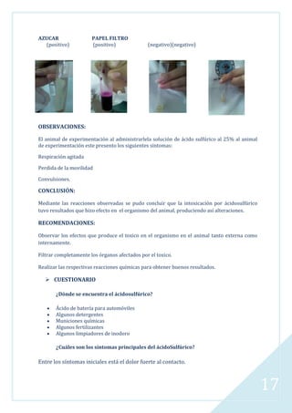 AZUCAR
(positivo)

PAPEL FILTRO
(positivo)

(negativo)(negativo)

OBSERVACIONES:
El animal de experimentación al administrarlela solución de ácido sulfúrico al 25% al animal
de experimentación este presento los siguientes síntomas:
Respiración agitada
Perdida de la movilidad
Convulsiones.

CONCLUSIÓN:
Mediante las reacciones observadas se pudo concluir que la intoxicación por ácidosulfúrico
tuvo resultados que hizo efecto en el organismo del animal, produciendo así alteraciones.

RECOMENDACIONES:
Observar los efectos que produce el toxico en el organismo en el animal tanto externa como
internamente.
Filtrar completamente los órganos afectados por el toxico.
Realizar las respectivas reacciones químicas para obtener buenos resultados.

 CUESTIONARIO
¿Dónde se encuentra el ácidosulfúrico?
Ácido de batería para automóviles
Algunos detergentes
Municiones químicas
Algunos fertilizantes
Algunos limpiadores de inodoro

¿Cuáles son los síntomas principales del ácidoSulfúrico?
Entre los síntomas iniciales está el dolor fuerte al contacto.

17

 