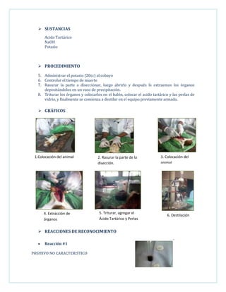  SUSTANCIAS
Acido Tartárico
NaOH
Potasio

 PROCEDIMIENTO
5. Administrar el potasio (20cc) al cobayo
6. Controlar el tiempo de muerte
7. Rasurar la parte a diseccionar, luego abrirlo y después le extraemos los órganos
depositándolos en un vaso de precipitación.
8. Triturar los órganos y colocarlos en el balón, colocar el acido tartárico y las perlas de
vidrio, y finalmente se comienza a destilar en el equipo previamente armado.

 GRÁFICOS


1.Colocación del animal

4. Extracción de
órganos

2. Rasurar la parte de la
disección.

3. Colocación del
animal

5. Triturar, agregar el
Ácido Tartárico y Perlas

6. Destilación

 REACCIONES DE RECONOCIMIENTO
Reacción #1
POSITIVO NO CARACTERISTICO

 