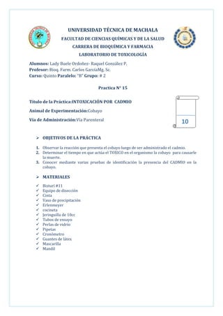 UNIVERSIDAD TÉCNICA DE MACHALA
FACULTAD DE CIENCIAS QUÍMICAS Y DE LA SALUD
CARRERA DE BIOQUÍMICA Y FARMACIA
LABORATORIO DE TOXICOLOGÍA
Alumnos: Lady Buele Ordoñez- Raquel González P.
Profesor: Bioq. Farm. Carlos GarcíaMg. Sc.
Curso: Quinto Paralelo: “B” Grupo: # 2
Practica N° 15
Título de la Práctica:INTOXICACIÓN POR CADMIO
Animal de Experimentación:Cobayo
Vía de Administración:Vía Parenteral

10

 OBJETIVOS DE LA PRÁCTICA
1. Observar la reacción que presenta el cobayo luego de ser administrado el cadmio.
2. Determinar el tiempo en que actúa el TOXICO en el organismo la cobayo para causarle
la muerte.
3. Conocer mediante varias pruebas de identificación la presencia del CADMIO en la
cobayo.

 MATERIALES















Bisturí #11
Equipo de disección
Cinta
Vaso de precipitación
Erlenmeyer
cocineta
Jeringuilla de 10cc
Tubos de ensayo
Perlas de vidrio
Pipetas
Cronómetro
Guantes de látex
Mascarilla
Mandil

 