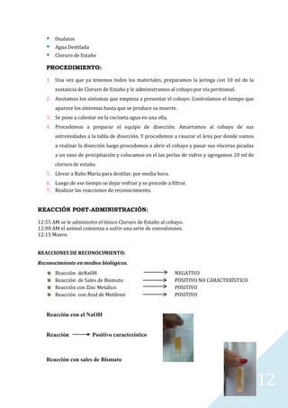 



Oxalatos
Agua Destilada
Cloruro de Estaño

PROCEDIMIENTO:
1. Una vez que ya tenemos todos los materiales, preparamos la jeringa con 10 ml de la
sustancia de Cloruro de Estaño y le administramos al cobayo por vía peritoneal.
2. Anotamos los síntomas que empieza a presentar el cobayo. Controlamos el tiempo que
aparece los síntomas hasta que se produce su muerte.
3. Se pone a calentar en la cocineta agua en una olla.
4. Procedemos a preparar el equipo de disección. Amarramos al cobayo de sus
extremidades a la tabla de disección. Y procedemos a rasurar el área por donde vamos
a realizar la disección luego procedemos a abrir el cobayo y pasar sus vísceras picadas
a un vaso de precipitación y colocamos en el las perlas de vidrio y agregamos 20 ml de
cloruro de estaño.
5. Llevar a Baño María para destilar, por media hora.
6. Luego de ese tiempo se dejar enfriar y se procede a filtrar.
7. Realizar las reacciones de reconocimiento.

REACCIÓN POST-ADMINISTRACIÓN:
12:55 AM se le administro el tóxico Cloruro de Estaño al cobayo.
12:00 AM el animal comienza a sufrir una serie de convulsiones.
12:15 Muere.
REACCIONES DE RECONOCIMIENTO:
Reconocimiento en medios biológicos.
Reacción deNaOH
Reacción de Sales de Bismuto
Reacción con Zinc Metálico
Reacción con Azul de Metileno

NEGATIVO
POSITIVO NO CARACTERÍSTICO
POSITIVO
POSITIVO

Reacción con el NaOH

Reacción

Positivo característico

Reacción con sales de Bismuto

12

 