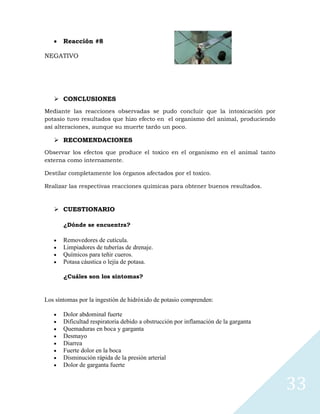 Reacción #8
NEGATIVO

 CONCLUSIONES
Mediante las reacciones observadas se pudo concluir que la intoxicación por
potasio tuvo resultados que hizo efecto en el organismo del animal, produciendo
así alteraciones, aunque su muerte tardo un poco.

 RECOMENDACIONES
Observar los efectos que produce el toxico en el organismo en el animal tanto
externa como internamente.
Destilar completamente los órganos afectados por el toxico.
Realizar las respectivas reacciones químicas para obtener buenos resultados.

 CUESTIONARIO
¿Dónde se encuentra?

Removedores de cutícula.
Limpiadores de tuberías de drenaje.
Químicos para teñir cueros.
Potasa cáustica o lejía de potasa.
¿Cuáles son los sintomas?

Los síntomas por la ingestión de hidróxido de potasio comprenden:
Dolor abdominal fuerte
Dificultad respiratoria debido a obstrucción por inflamación de la garganta
Quemaduras en boca y garganta
Desmayo
Diarrea
Fuerte dolor en la boca
Disminución rápida de la presión arterial
Dolor de garganta fuerte

33

 