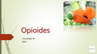 Opioides
Toxicología 30
2019
 