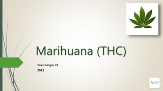 Marihuana (THC)
Toxicología 31
2019
 