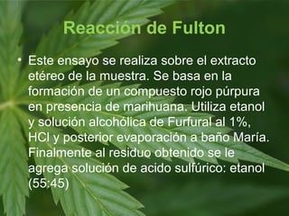 Reacción de Fulton
• Este ensayo se realiza sobre el extracto
etéreo de la muestra. Se basa en la
formación de un compuesto rojo púrpura
en presencia de marihuana. Utiliza etanol
y solución alcohólica de Furfural al 1%,
HCl y posterior evaporación a baño María.
Finalmente al residuo obtenido se le
agrega solución de acido sulfúrico: etanol
(55:45)
 
